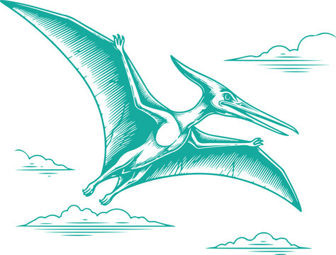 a green pterosaur flying through the air Vector, illustration