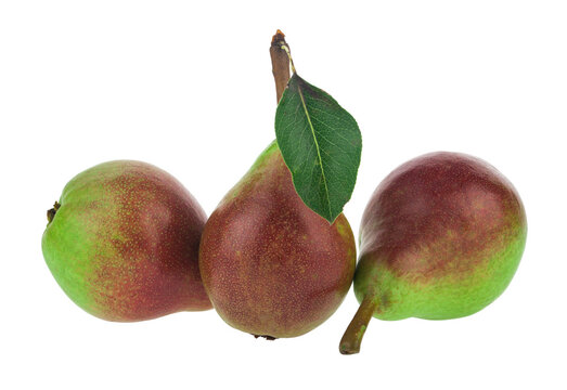 Pears isolated on a white background.