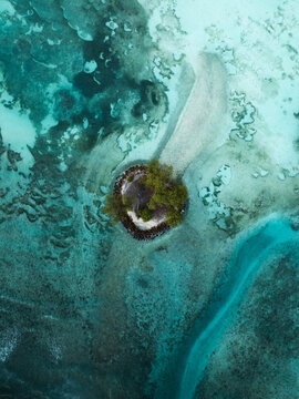 Aerial view of a tiny circular island with green trees surrounded by turquoise coral reefs and clear shallow water in Anse Reunion, La Digue, Seychelles.