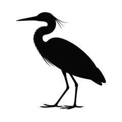 Fototapeta premium A striking black silhouette of a heron standing gracefully with long legs