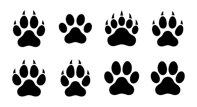 Animal paw prints vector set, black silhouette bear and wolf tracks with claws, 8 wildlife foot print icons for hunting and nature design