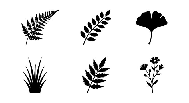 Black botanical leaf silhouettes set, minimalist plant foliage icons, collection of 6 floral vector elements including fern and ginkgo biloba