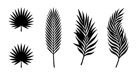 Tropical palm leaf silhouettes, black botanical foliage vector set, exotic summer plant elements, minimalist jungle leaf icons for design © Omar