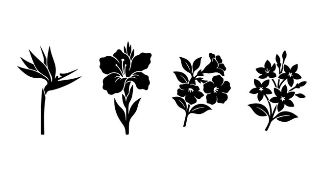 Tropical flower silhouettes vector set, black floral botanical icons including bird of paradise and hibiscus, minimalist garden plant graphics for logo design