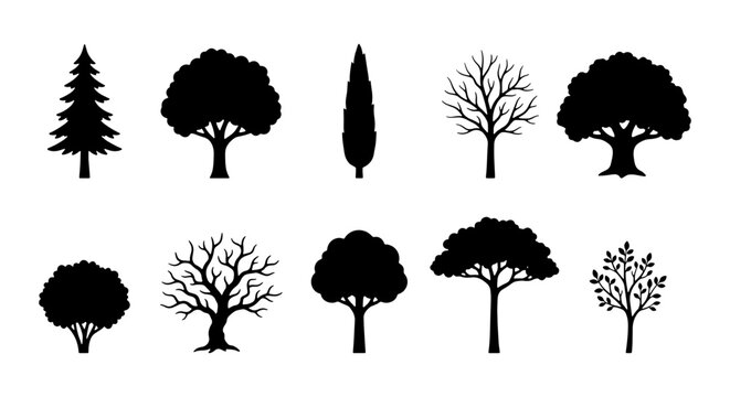 Black tree silhouettes set, 10 botanical vector icons, minimalist forest and garden plant shapes, deciduous and evergreen tree collection for landscape design