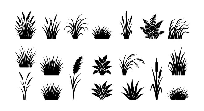 Black grass silhouette set, 21 botanical plant icons, marsh reed and cattail vector collection, wild meadow greenery for landscape design