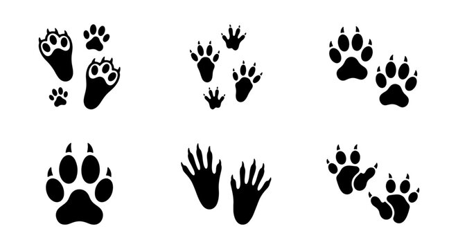Animal paw prints collection, black wildlife track silhouettes, set of 6 predator and mammal footmarks, nature trail vector icons