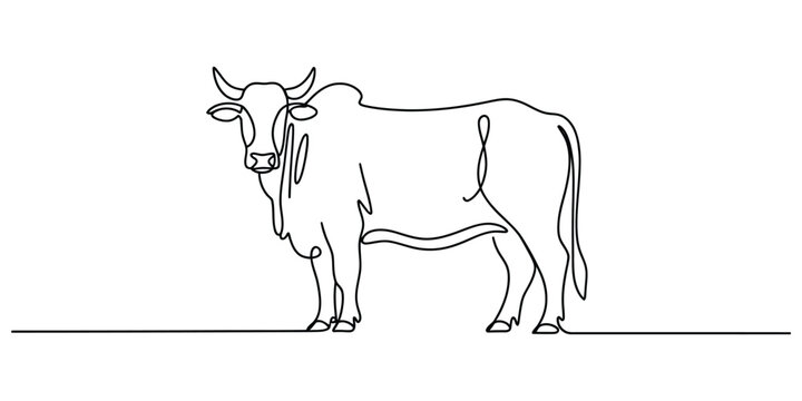Continuous line drawing of a zebu cow