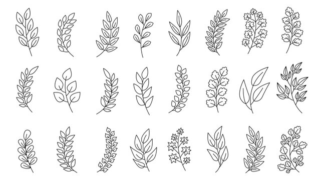 Collection of black line botanical doodles showing assorted leafy branches and flowering sprigs on a white background. Vector illustration