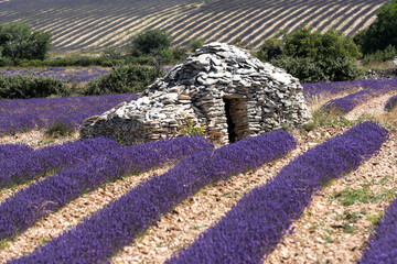Plateau de Ferrassières © DELAIRON