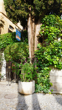 Saint-Paul-de-Vence, France - March 10, 2026: Sign of the famous local restaurant La colombe dOr in Saint Paul de Vence, one of the oldest towns of the Frence Riviera.