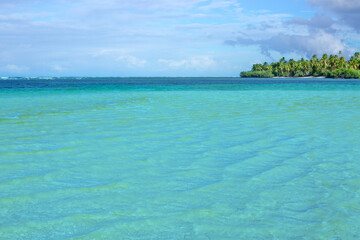 Fototapeta premium Caribbean sea and green palm trees.