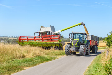 Fototapeta premium Combine harvester loading a trailer pulled by a tractor with barley grains on a clear summer day