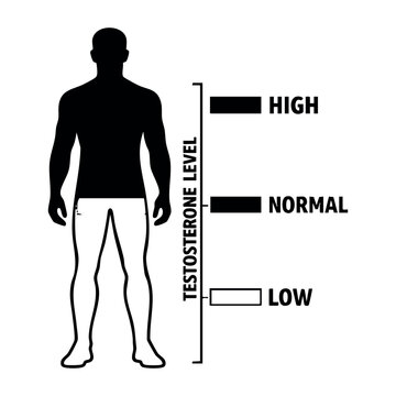 Male silhouette illustrating testosterone level ranges: high, normal, and low, representing male health, hormones, and medical analysis