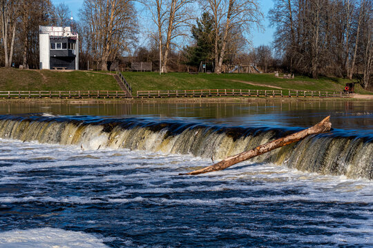 Fishes go for spawning upstream, jumping over waterfall.