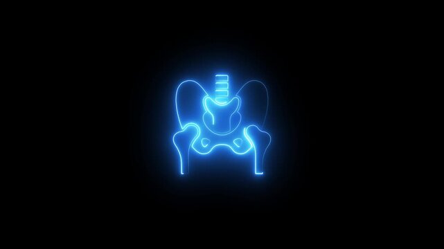 Glowing Blue Pelvis Anatomy Medical Neon Light Effect