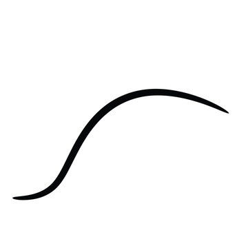 Black s-shaped curved line on white background