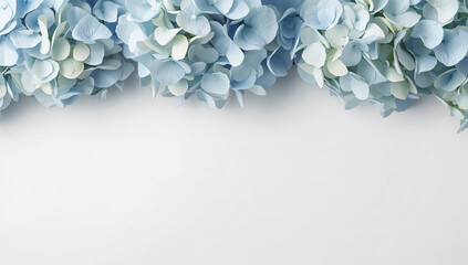 Obraz premium 余白を生かして青いあじさいを配した白背景の花写真