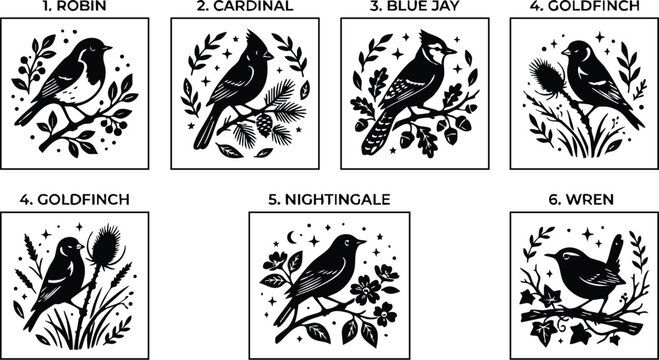 Robin cardinal blue jay goldfinch nightingale and wren birds with floral branches