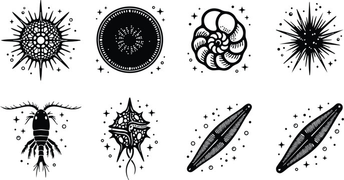 Black and white plankton and radiolaria vector art collection with stars and dots