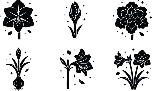 Black and white amaryllis flower silhouette set with sparkles vector art