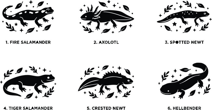 Black and white flat design salamander and newt vector art set with leaves and sparkles