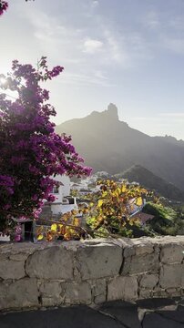 Colorful blooming flowers framing the dramatic mountain peak above Tejeda village in Gran Canaria, Canary Islands, Spain.