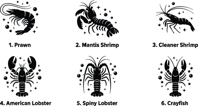 Prawn mantis shrimp cleaner shrimp american lobster spiny lobster and crayfish
