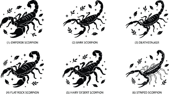 Black silhouette scorpion species flat rock emperor hairy desert striped bark deathstalker vector art