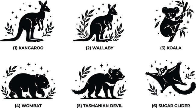 Black and white silhouettes of kangaroo wallaby koala wombat tasmanian devil and sugar glider vector art