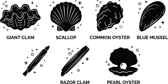 Black and white clam scallop oyster mussel razor clam and pearl oyster vector art set