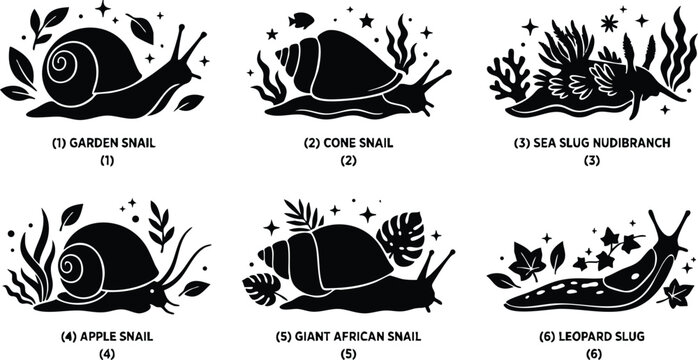 Black and white garden snail cone snail sea slug nudibranch apple snail giant african snail leopard slug vector line art