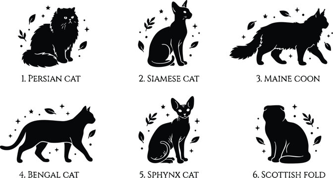 Silhouettes of six cat breeds including persian siamese and sphynx with leaves and stars vector art
