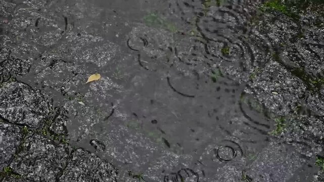 Ondas de lluvia sobre charco en superficie rocosa