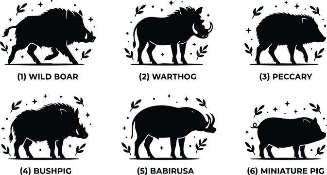 Black silhouette collection of six wild pig species vector art with leaves and stars