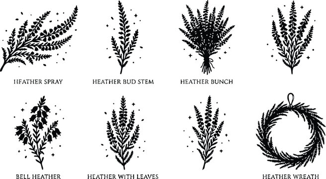 Black and white heather spray wreath and bouquet vector art set