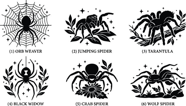 Black widow spider with hourglass symbol and leaves vector art