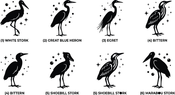 Silhouettes of white stork great blue heron egret bittern shoebill marabou birds in black and white