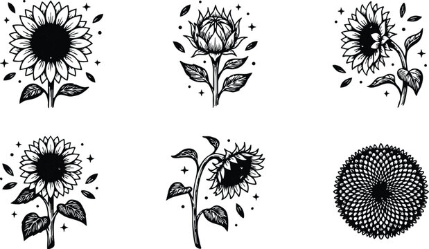 Black and white sunflower line art with leaves and petals set