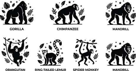 Obraz premium Black and white flat design primate collection with gorilla chimpanzee mandrill orangutan lemur and spider monkey