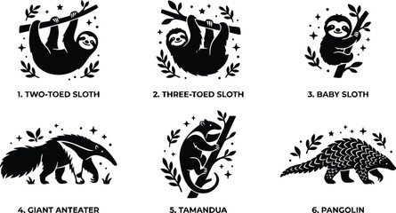 Fototapeta premium Two toed sloth three toed sloth baby sloth giant anteater tamandua and pangolin silhouettes