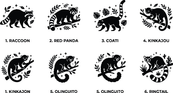 Eight small mammals including raccoon red panda and coati