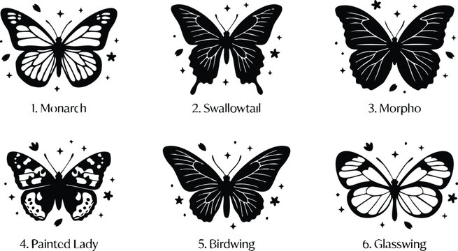 Six named butterfly species with decorative stars and leaves