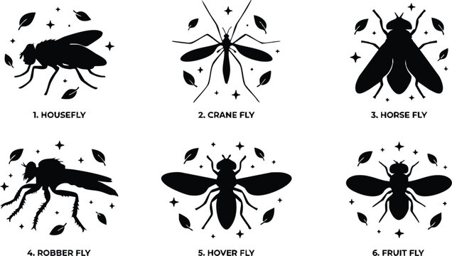 Black silhouette set of housefly crane fly horse fly robber fly hover fly fruit fly with leaves