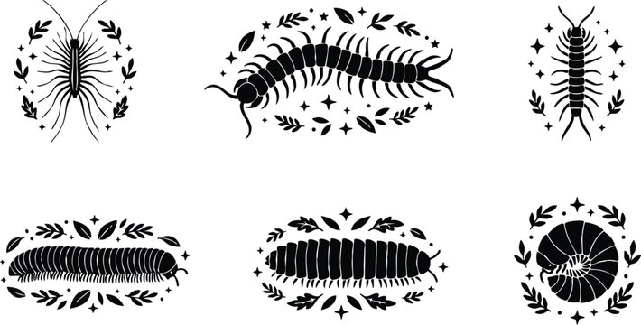 Black and white centipede and millipede icons with leaves and stars vector art