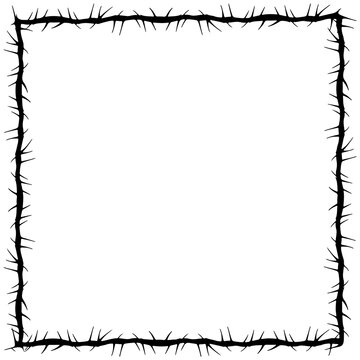 A black thorny border frames a transparent white square background