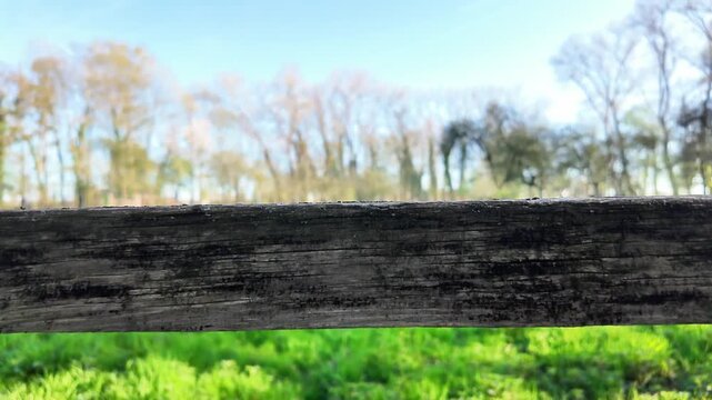 Selective focus on a rustic wooden fence with a blurred green field.