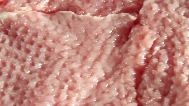 Extreme macro of raw pork chop meat surface in close view as the camera slowly slides across the pink textured fibers, revealing moist ridges and fresh butcher detail for food industry use.