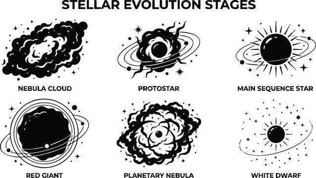 Black and white stellar evolution stages vector art with nebula cloud protostar and white dwarf