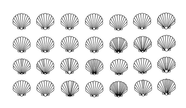 Scallop shell line icon grid vector set with modern coastal marine design